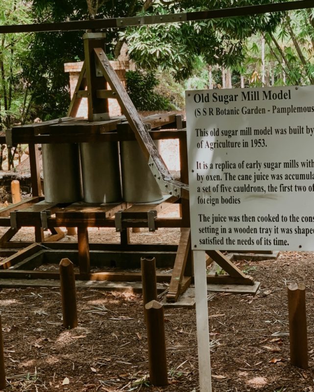 sugar cane mill at the botanical garden