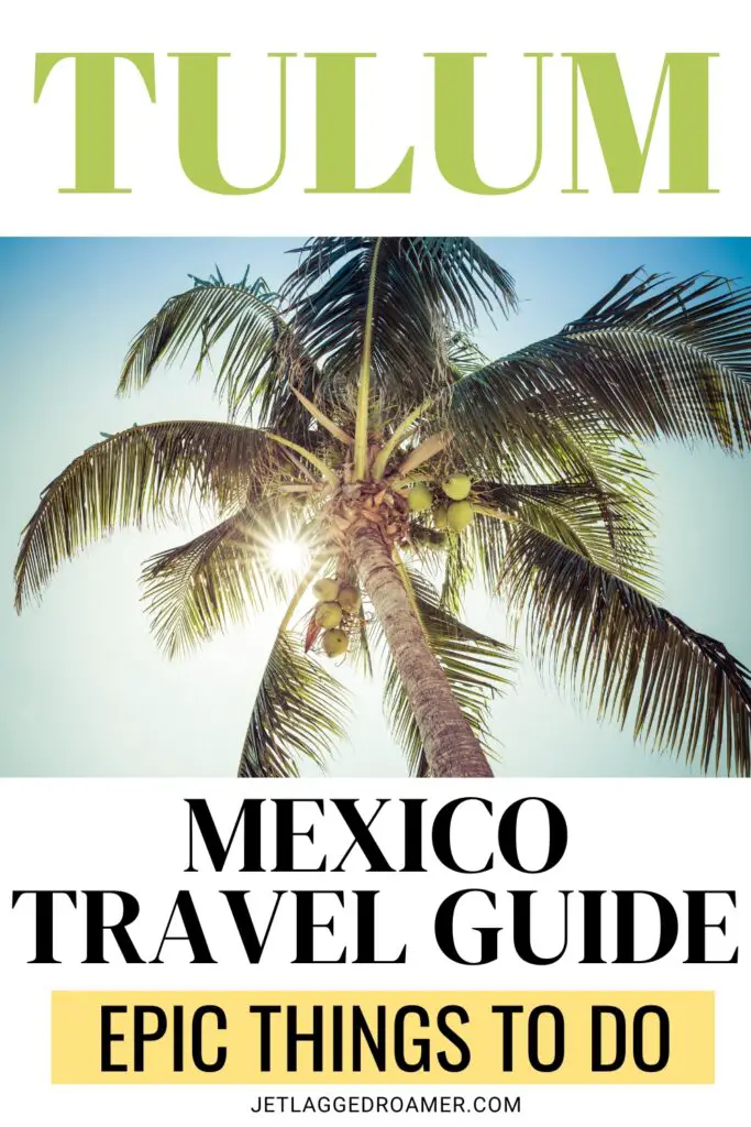 Pinterest pin for things to do in Tulum. Text says Tulum, Mexico travel guide epic things to do. Palm tree in Tulum. 