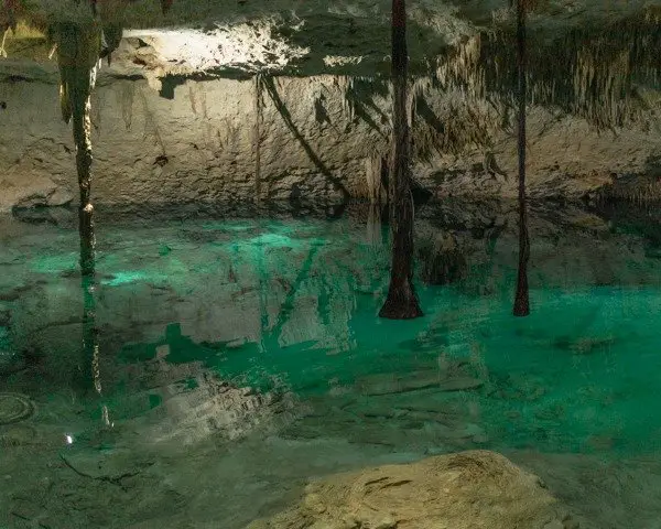 A cenote's clear blue water at Dos Ojos one of the top things to do in Tulum. 