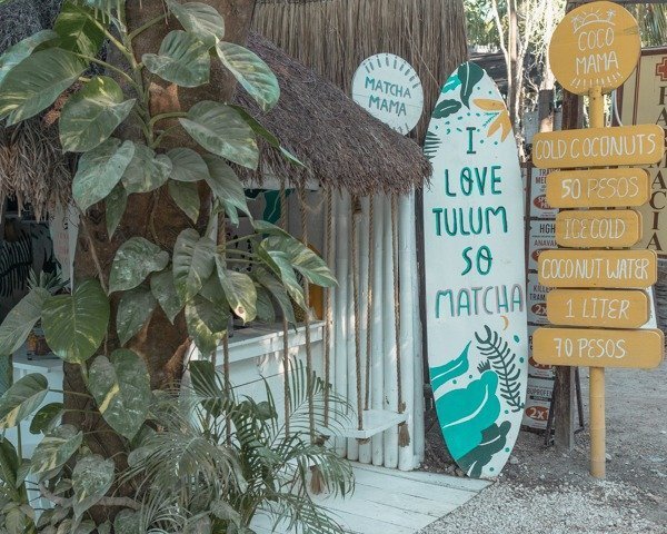 Entrance into Match Mama a surfboard with white swings hanging from a roap