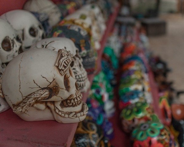 skulls aligned on a table at a souvenir shop