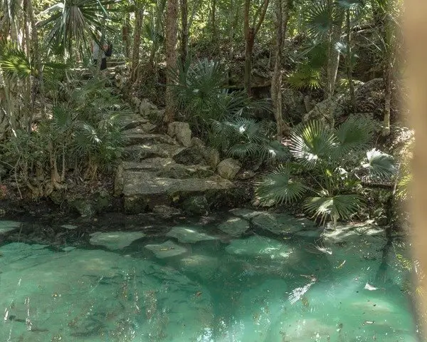 Beautiful clear water with Garra rufa fish at cenote azul. 