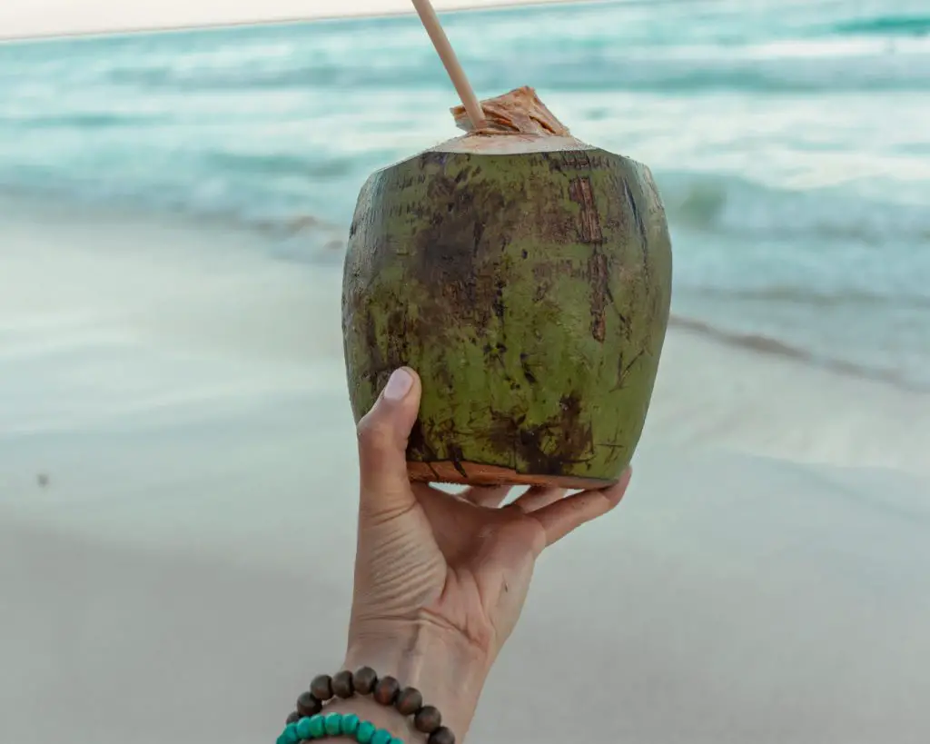 Me holding up a coconut with a straw in front of the ocean
