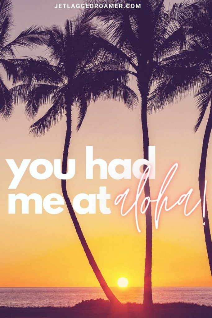 Palm trees in front of a sun setting on a tropical island with a beach Instagram caption "you had me at aloha!"