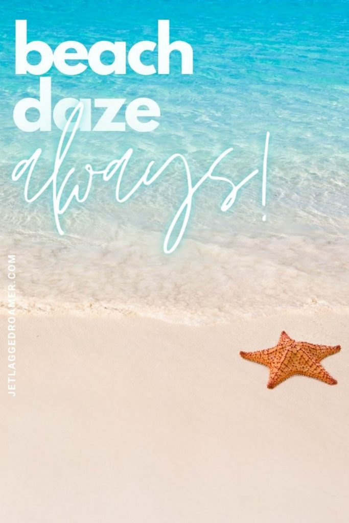 orange starfish on shore and turquoise water with a quote that says "beach daze always."