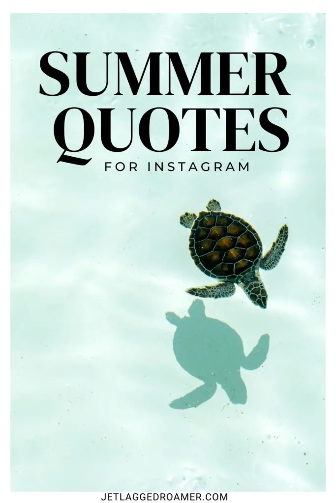 Text says summer quotes for Instagram. Sea turtle. Pinterest pin for summer captions. 