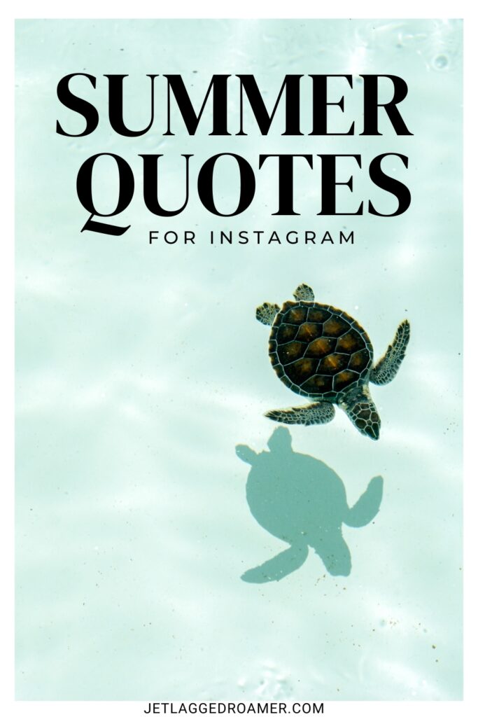 Text says summer quotes for Instagram. Sea turtle. Pinterest pin for summer captions.