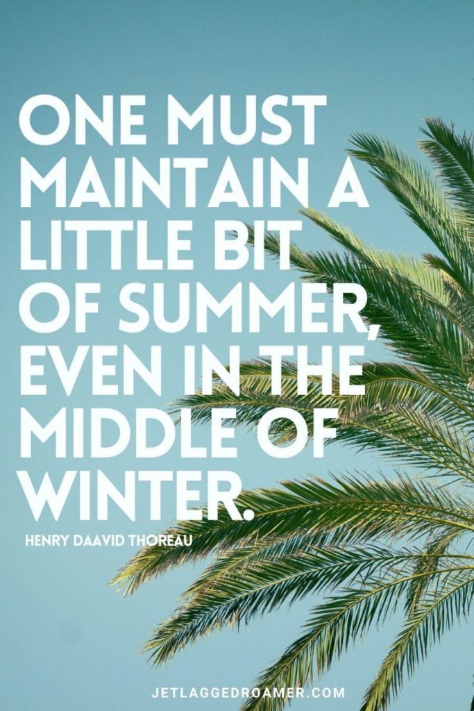 QUOTE THAT SAYS ONE MUST MAINTAIN A LITTLE BIT OF SUMMER EVEN IN THE MIDDLE OF WINTER. IMAGE OF A PALM TREE ON A SUNNY DAY.