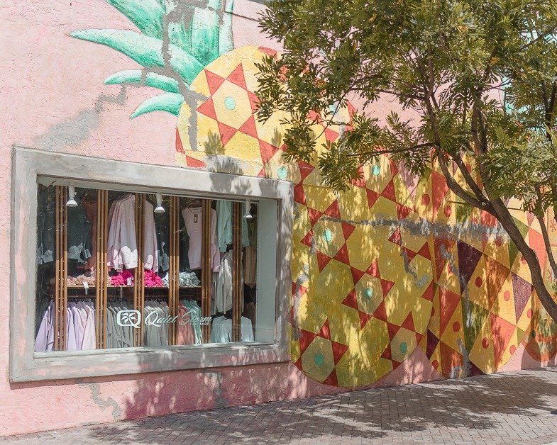 Wall mural outside of Pineapple Grove one of the places to visit in Delray Beach.