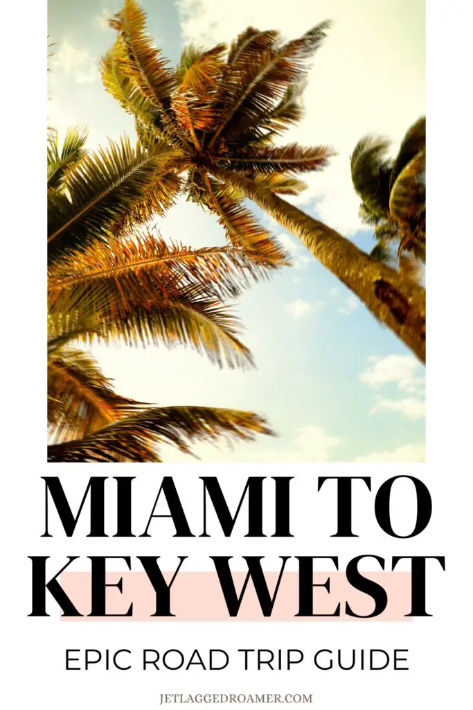 Miami to Key West Pinterest pin. Text says Miami to Key West epic road trip guide. Palm trees in Key West, Florida.