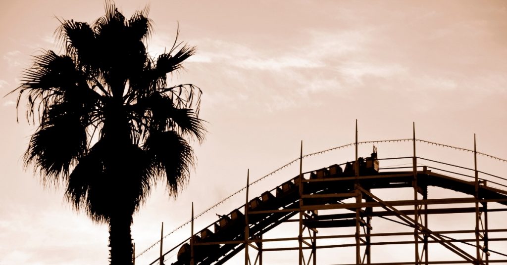 Roller coaster at its peak and a palm tree during sunset. 