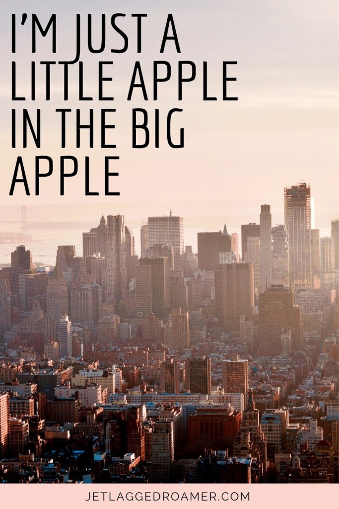 Caption about NYC says “I’m just a little apple in the Big Apple.”.  View of NYC during sunrise. 