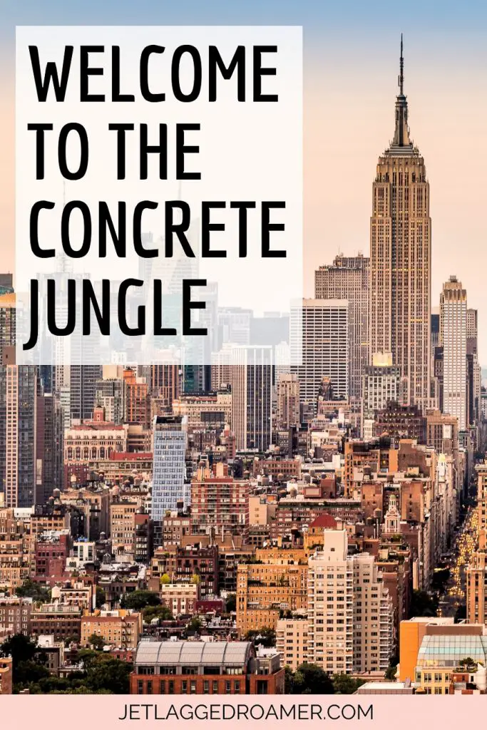 New York Instagram caption “Welcome to the concrete jungle." View of Manhattan. 