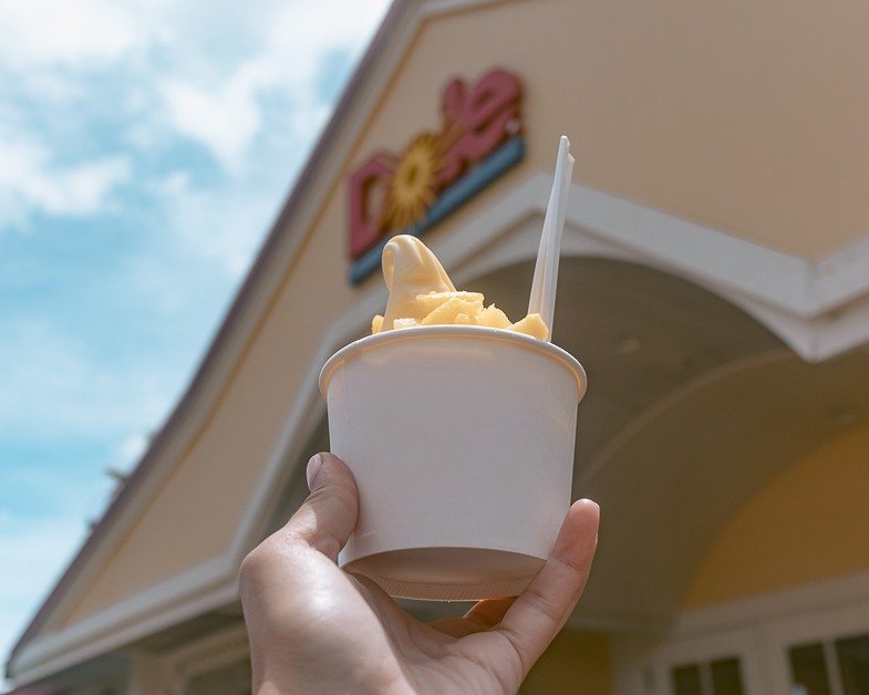 Me holding a Dole Whip in front of Dole Plantation. 