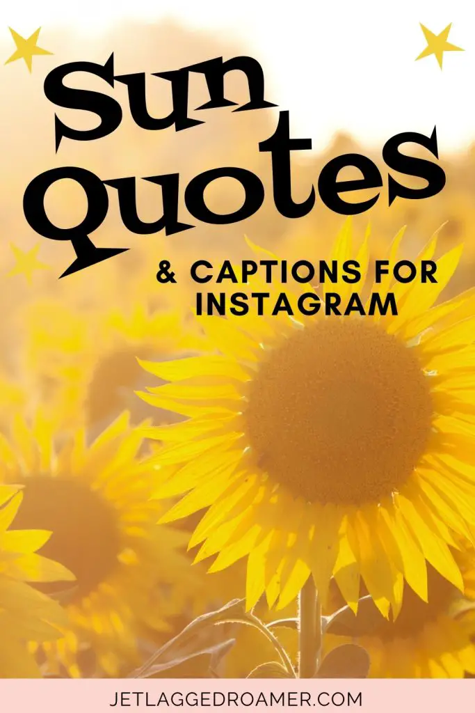 SUNFLOWER FIELD ON A SUNNY DAY. TEXT READS SUN QUOTES AND CAPTIONS FOR INSTAGRAM.