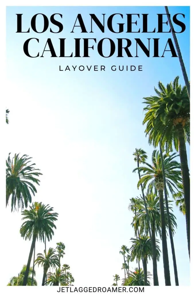 Pinterest pin for Layover In Los Angeles. Text says Los Angeles, California layover guide. Palm trees in Los Angeles. 