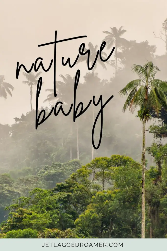 Nature captions for travel that reads nature baby.  Tropical forest in Asia. 