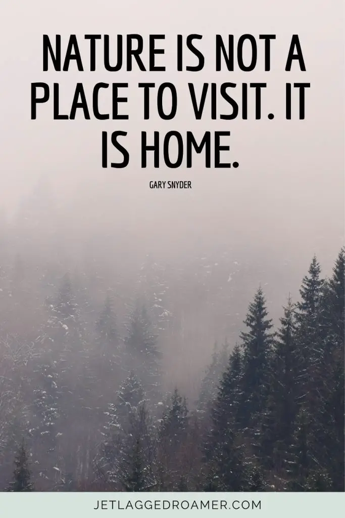 Nature quote for Instagram that says nature is not a place to visit it is home. Forest with snow on a foggy day.