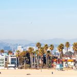 Layover in Los Angeles picture of Venice Beach.