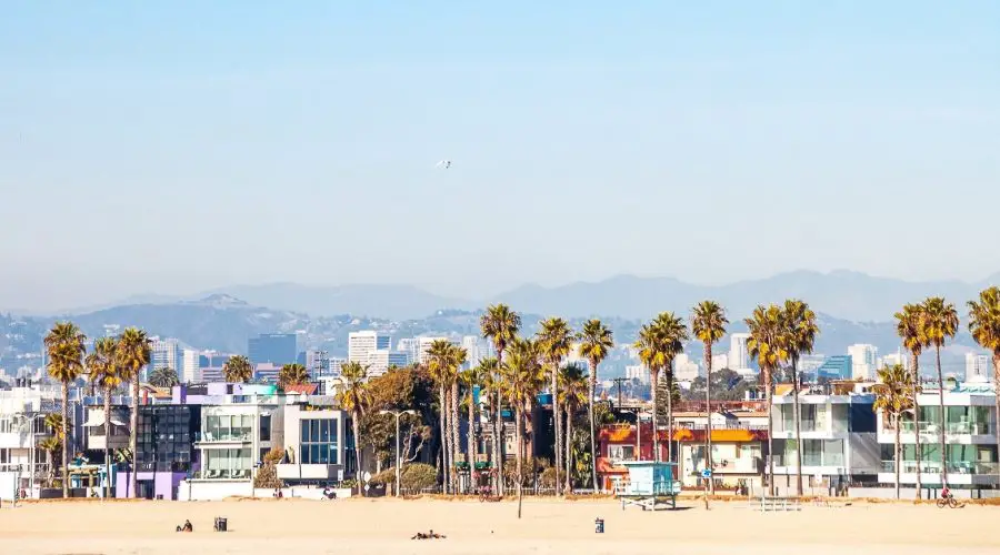 Layover in Los Angeles picture of Venice Beach.