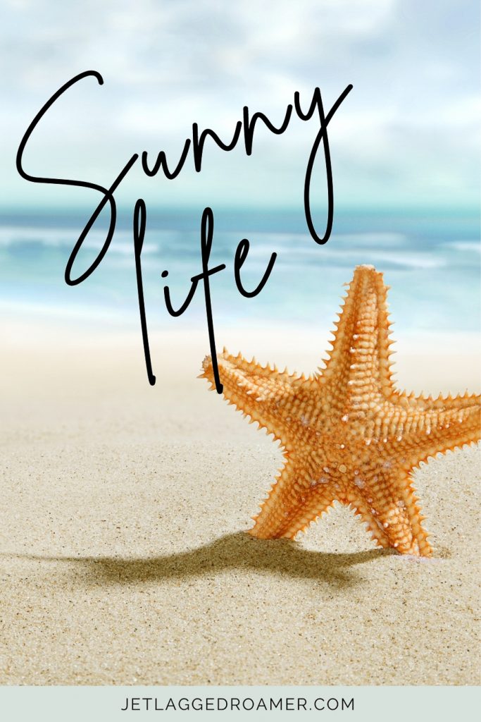 Sunny day captions for Instagram that says sunny life. The starfish perched in the sand on the beach.