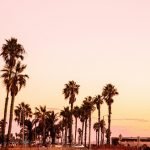 Los Angeles captions photo of the Venice Beach.