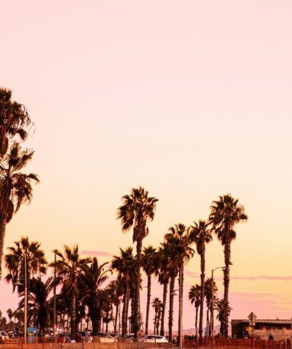 Los Angeles captions photo of the Venice Beach.