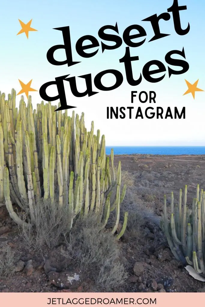 Desert Instagram Captions Pinterest pin. Text says desert quotes for Instagram picture of cacti.