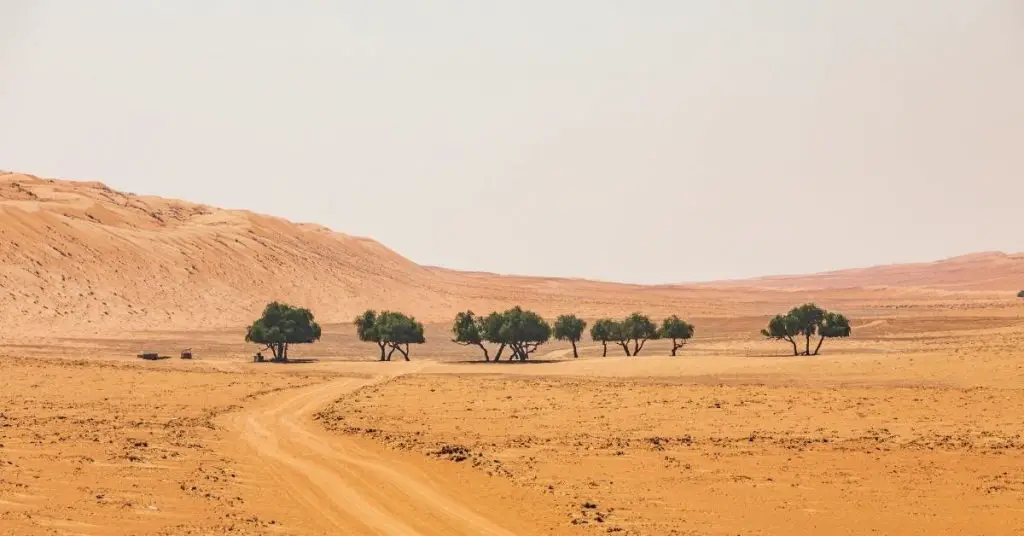 Desert Instagram Captions photo of the Oman desert.