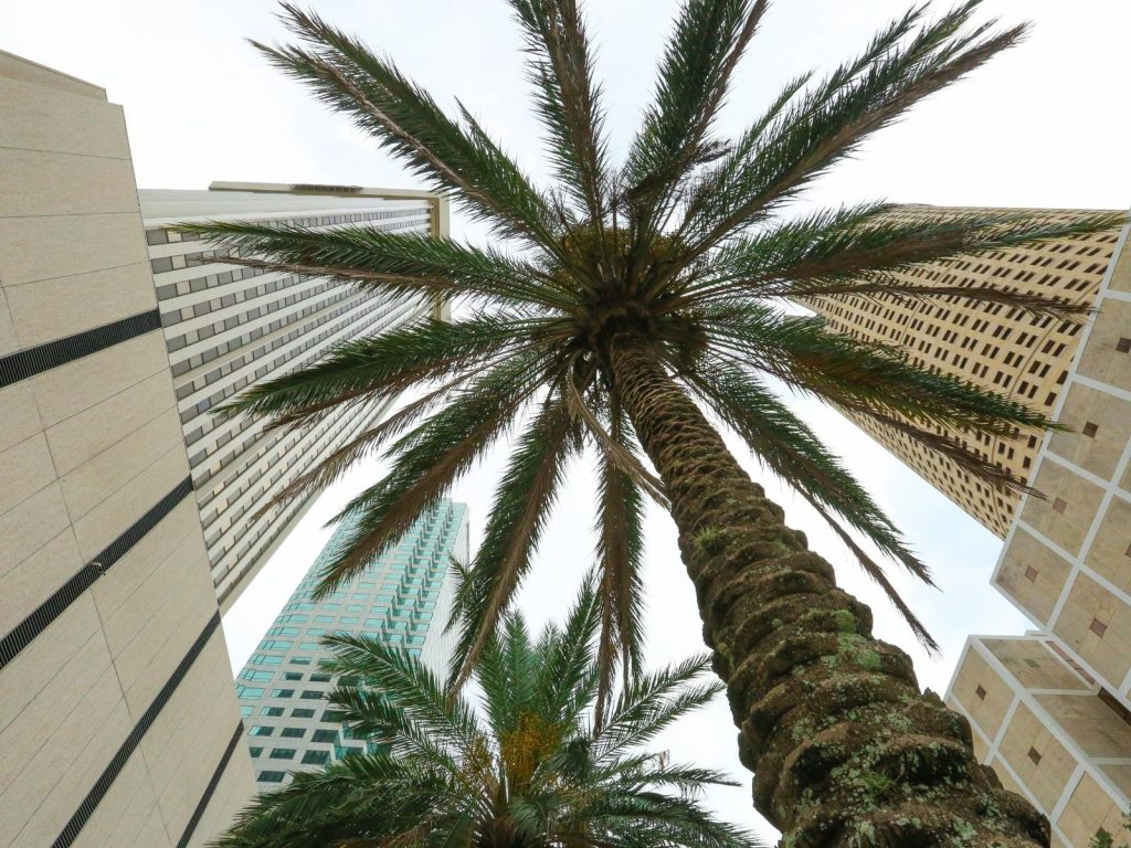 Downtown Tampa, Florida, Florida captions photo.