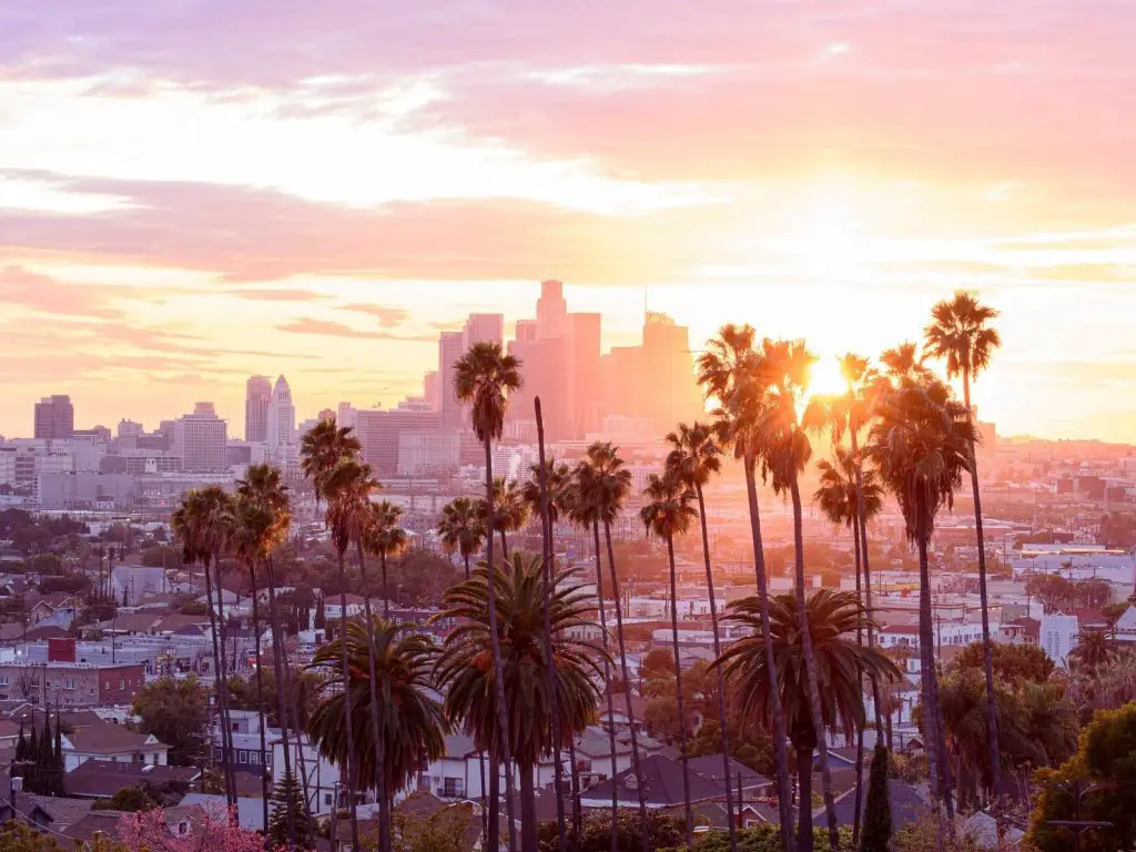 Quotes about palm trees and sunsets  photo of the Los Angeles skyline during sunset. 