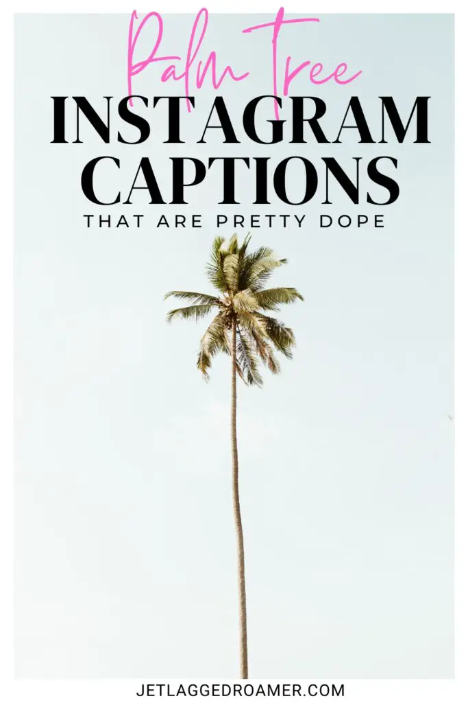 Pinterest pin for quotes about palm trees. Text see palm tree Instagram captions that are pretty dope. 