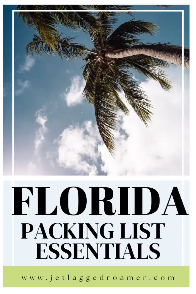 Pinterest pin for Florida packing list. Text says Florida packing list essentials. Palm tree in Florida. 