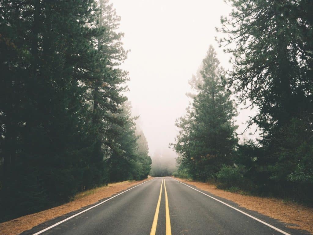 Captions for road trips photo of an empty road in a forest. 