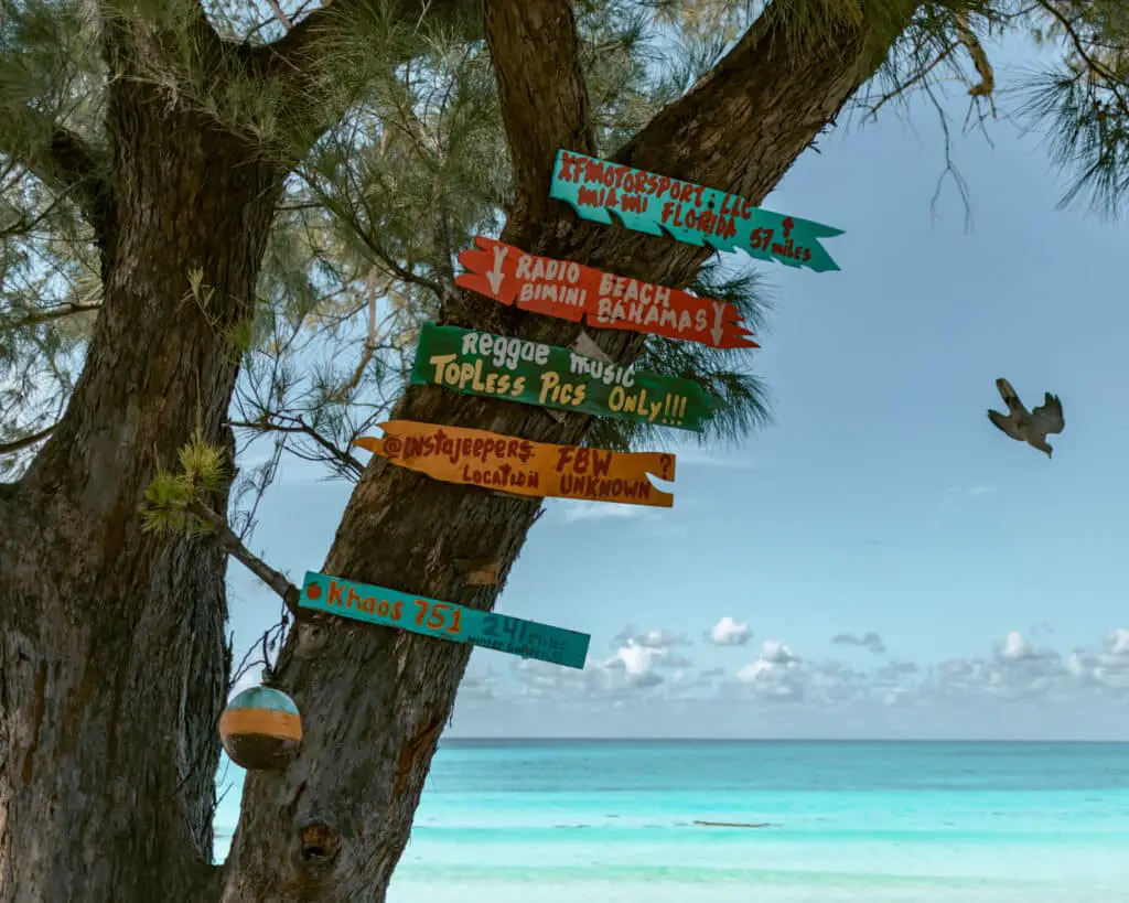 Tree with signs and the beach one of the things to do in Bimini. 