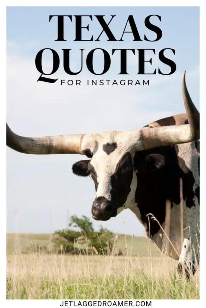 Pinterest pin for Texas Instagram captions. Longhorn. Text reads Texas quotes for Instagram.