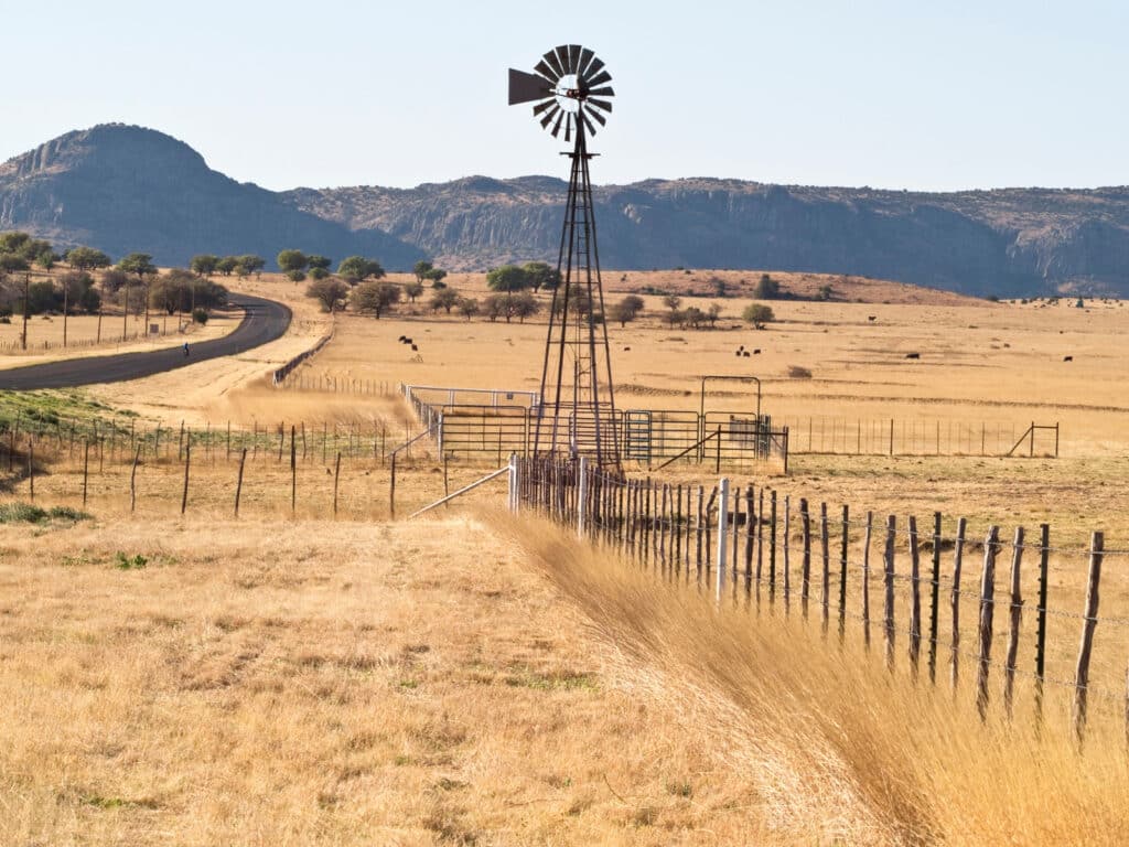 Captions for Texas photo of a dirt road in Texas. 