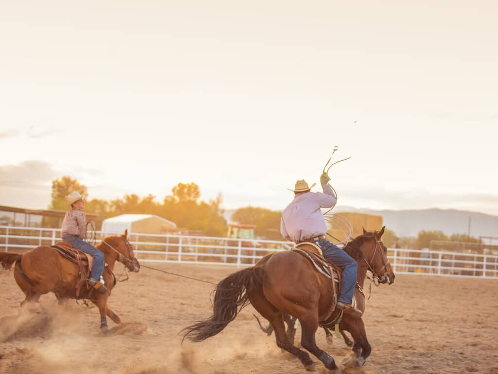 Captions for Instagram about Texas photo of cowboys at a rodeo riding horses.