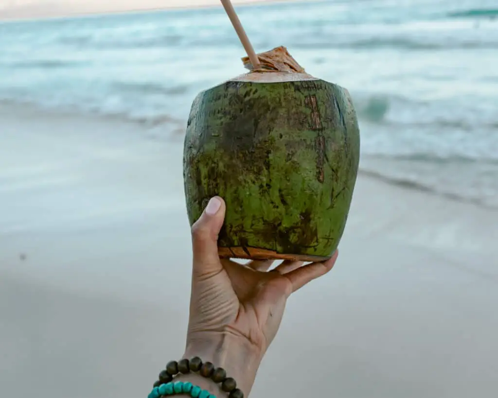 Tulum captions photo of a coconut on Tulum beach. 