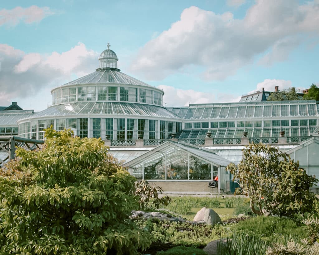 Copenhagen's Botanical Garden one of Copenhagen sights to see. 