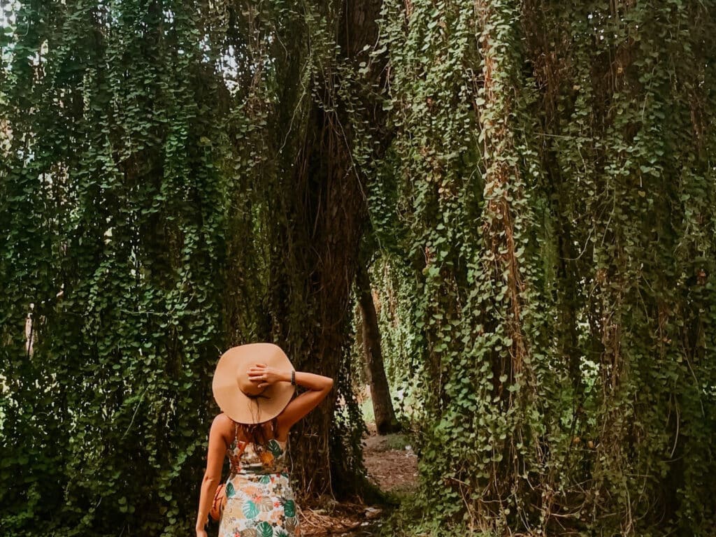 Gran Parque Metropolitano park a Havana attraction. 