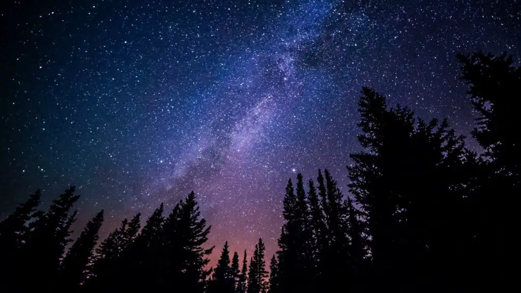 Night sky for Instagram captions photo of the stars in a forest. 