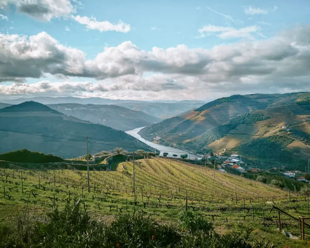 Douro Valley day trip from Porto. Wine field. 