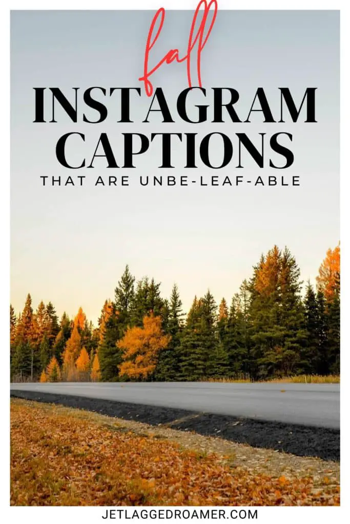 Pinterest pin for fall Instagram captions. Text says fall Instagram captions that are unbel-leaf-able. Road with trees the colors of fall.