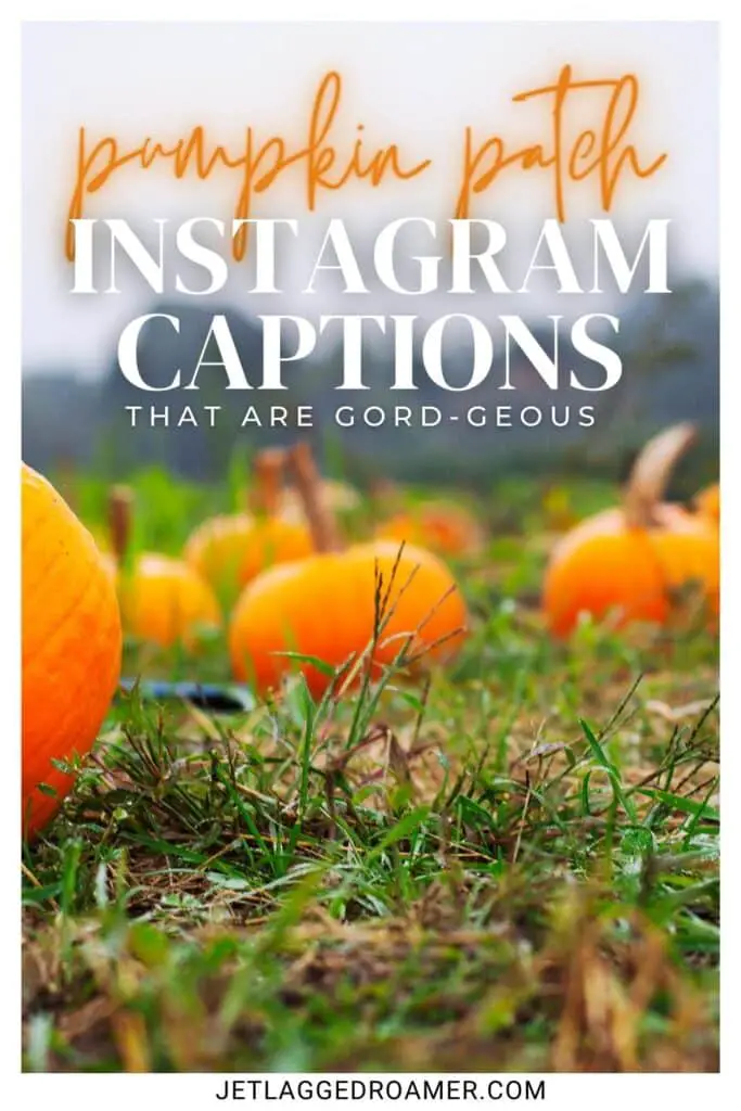 Pinterest pin for pumpkin patch captions for Instagram. text says pumpkin patch Instagram captions that are gourd-geous. 