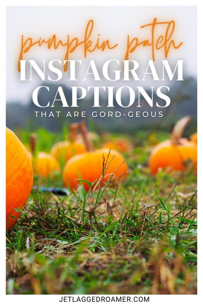 Pinterest pin for pumpkin patch captions for Instagram. text says pumpkin patch Instagram captions that are gourd-geous. 