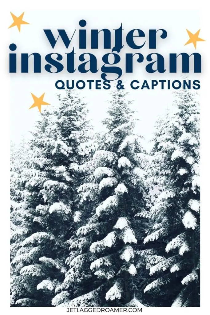 Pinterest pin for snowflake Instagram captions. Text says winter Instagram quotes and captions. Snow covered trees.