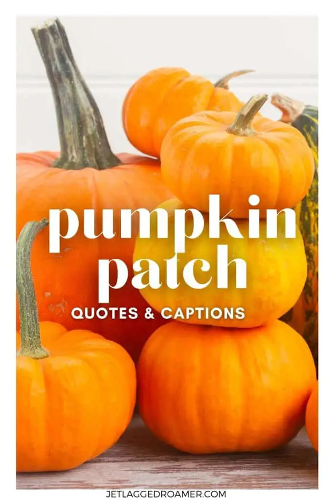 Pinterest pin for pumpkin patch captions for Instagram. Text says pumpkin patch quotes and captions. Pumpkins.