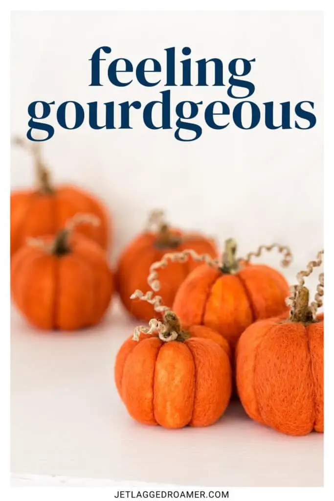 Fall captions photo of pumpkins. Caption says "feeling gourdgeous."