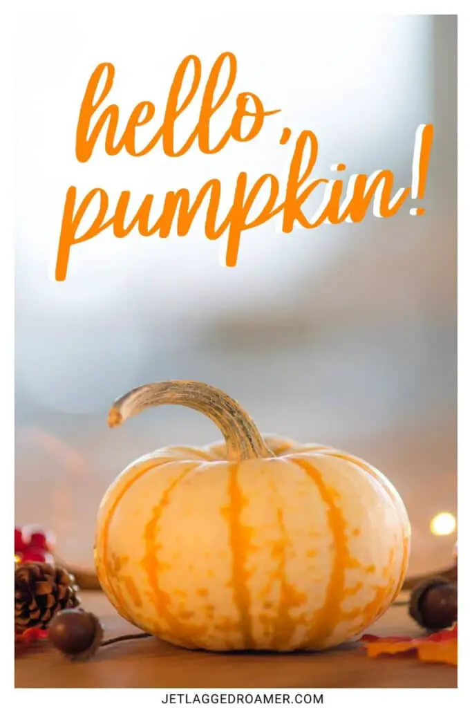 One of the fall Instagram captions saying "hello pumpkin." Small pumpkin.